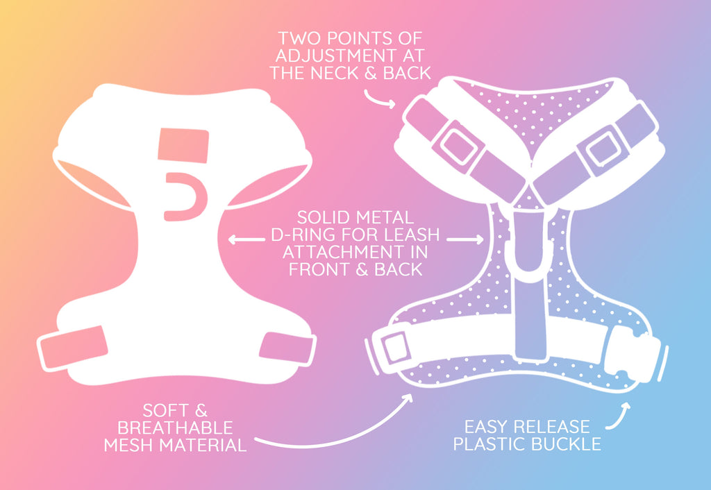 Dog Two Piece Bundle - My Melody™