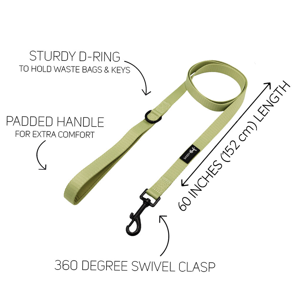 Dog Leash - Matcha