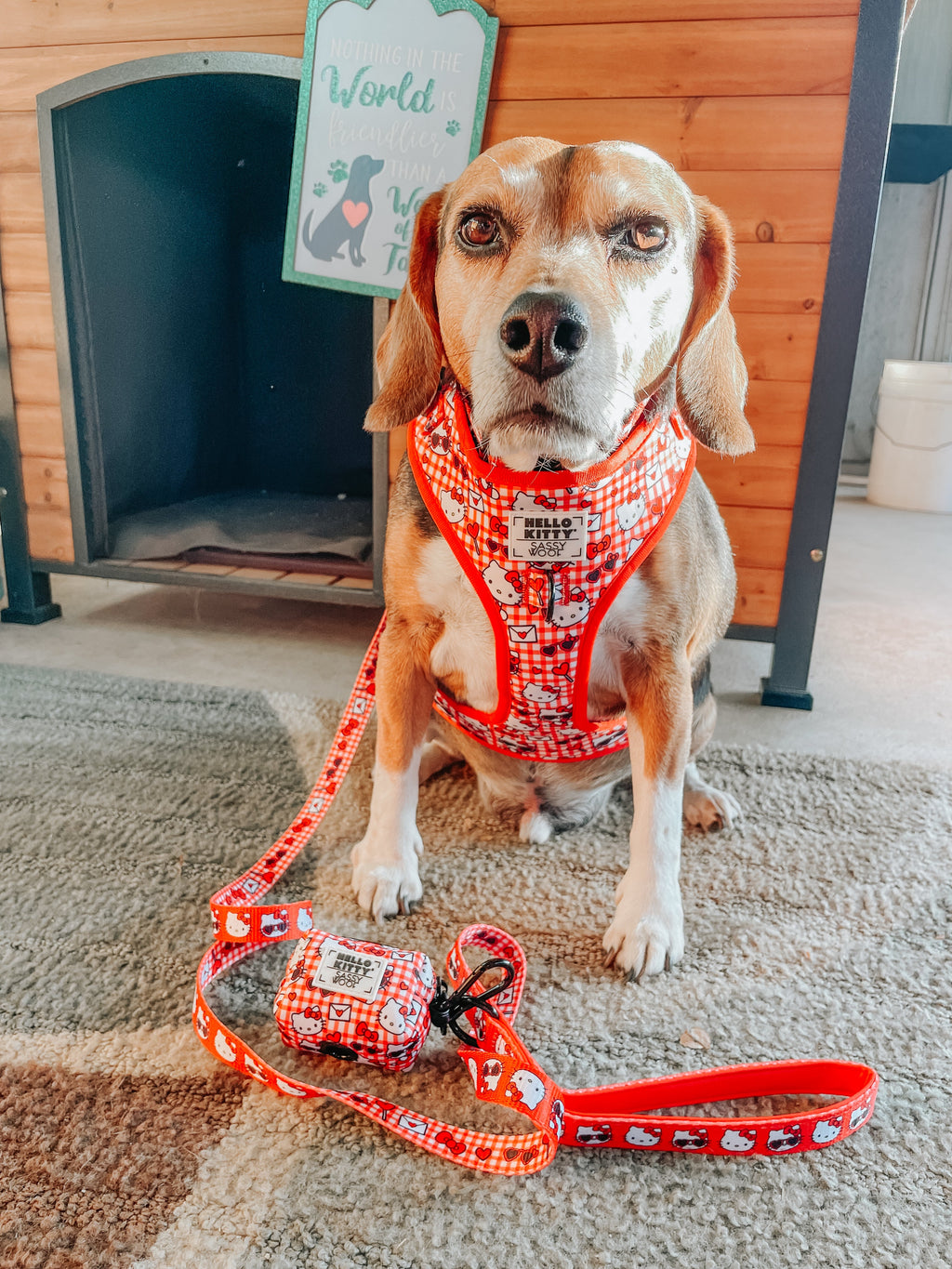 Dog Waste Bag Holder - Hello Kitty® Red Classic