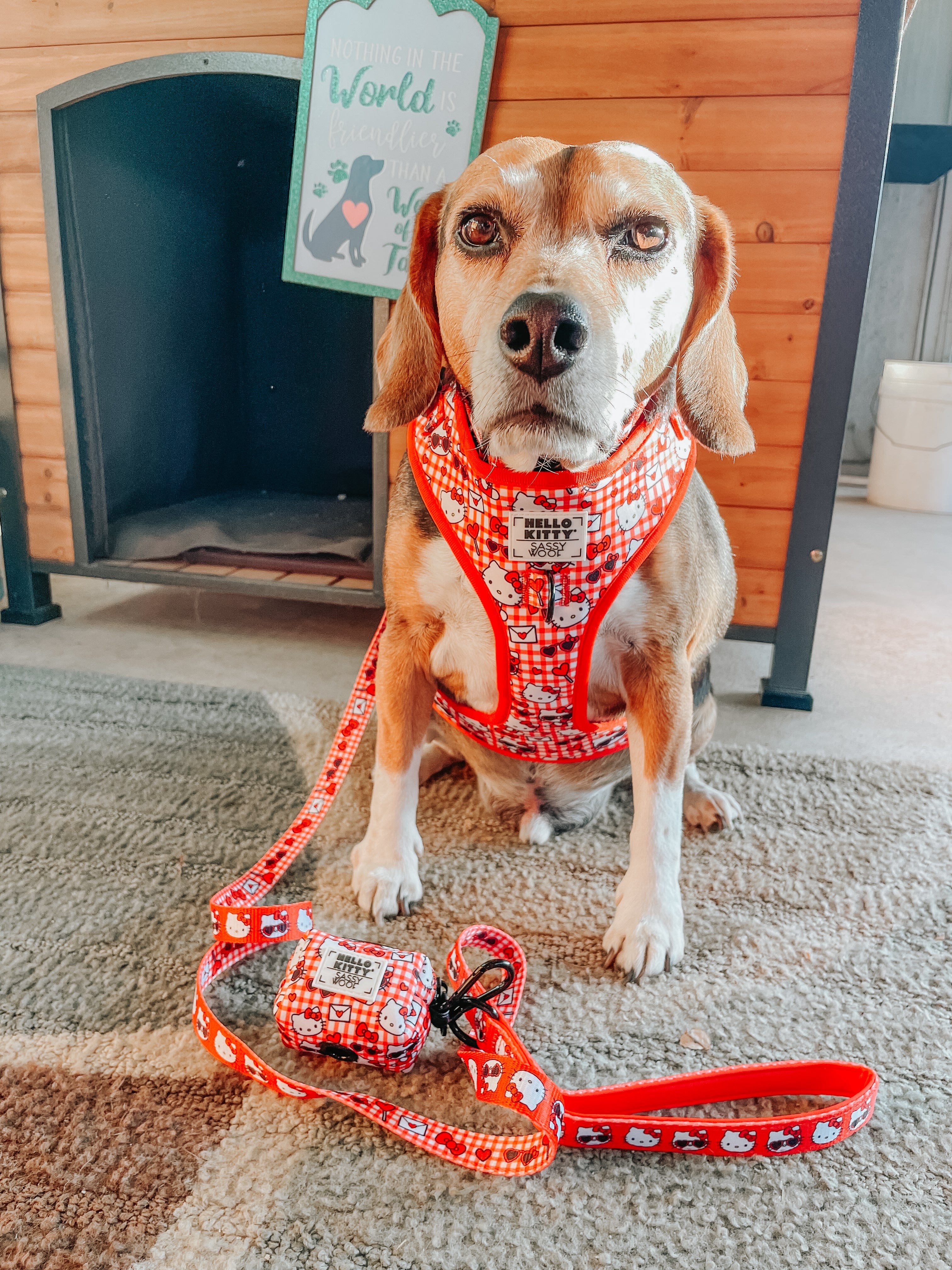 Dog Waste Bag Holder - Hello Kitty® Red Classic