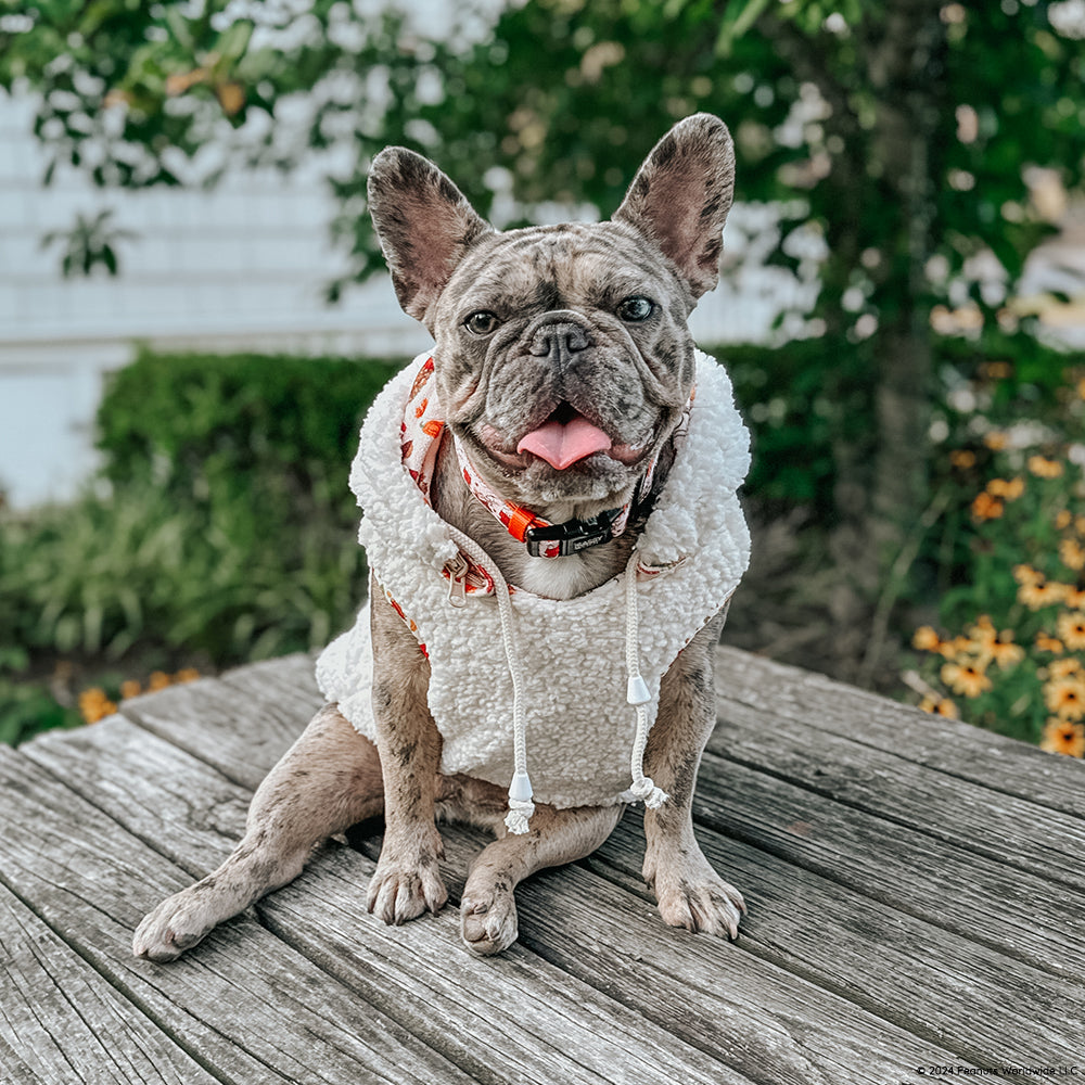 Dog Reversible Sherpa Jacket - Peanuts™ Harvest