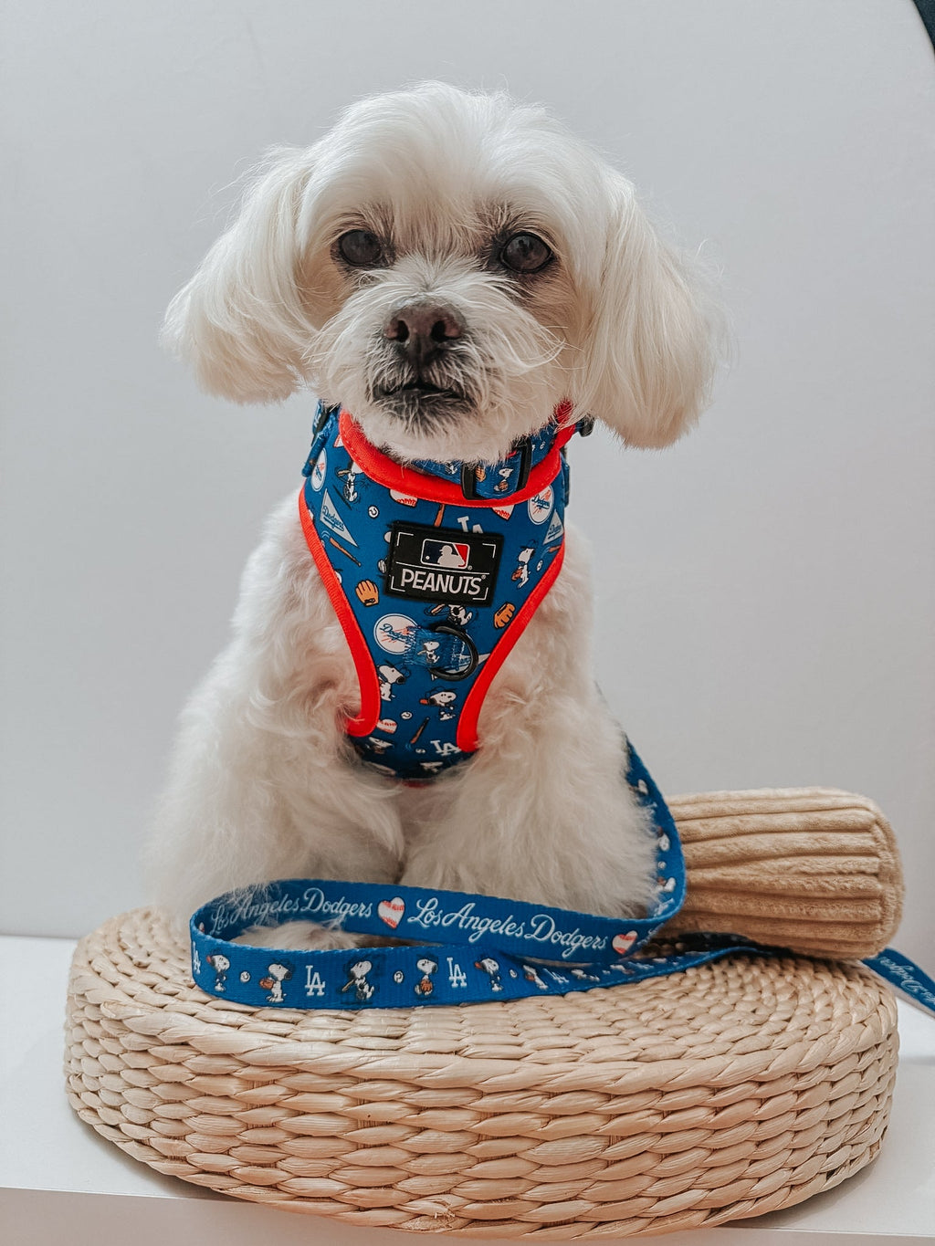 Dog Leash - MLB™ x Peanuts™ Los Angeles Dodgers™