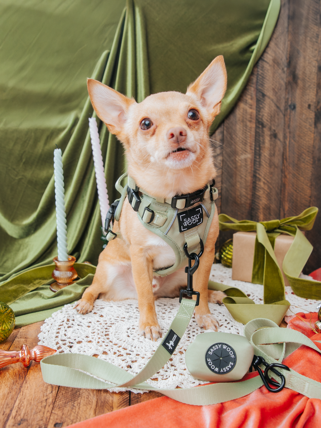 Dog Leash - Matcha