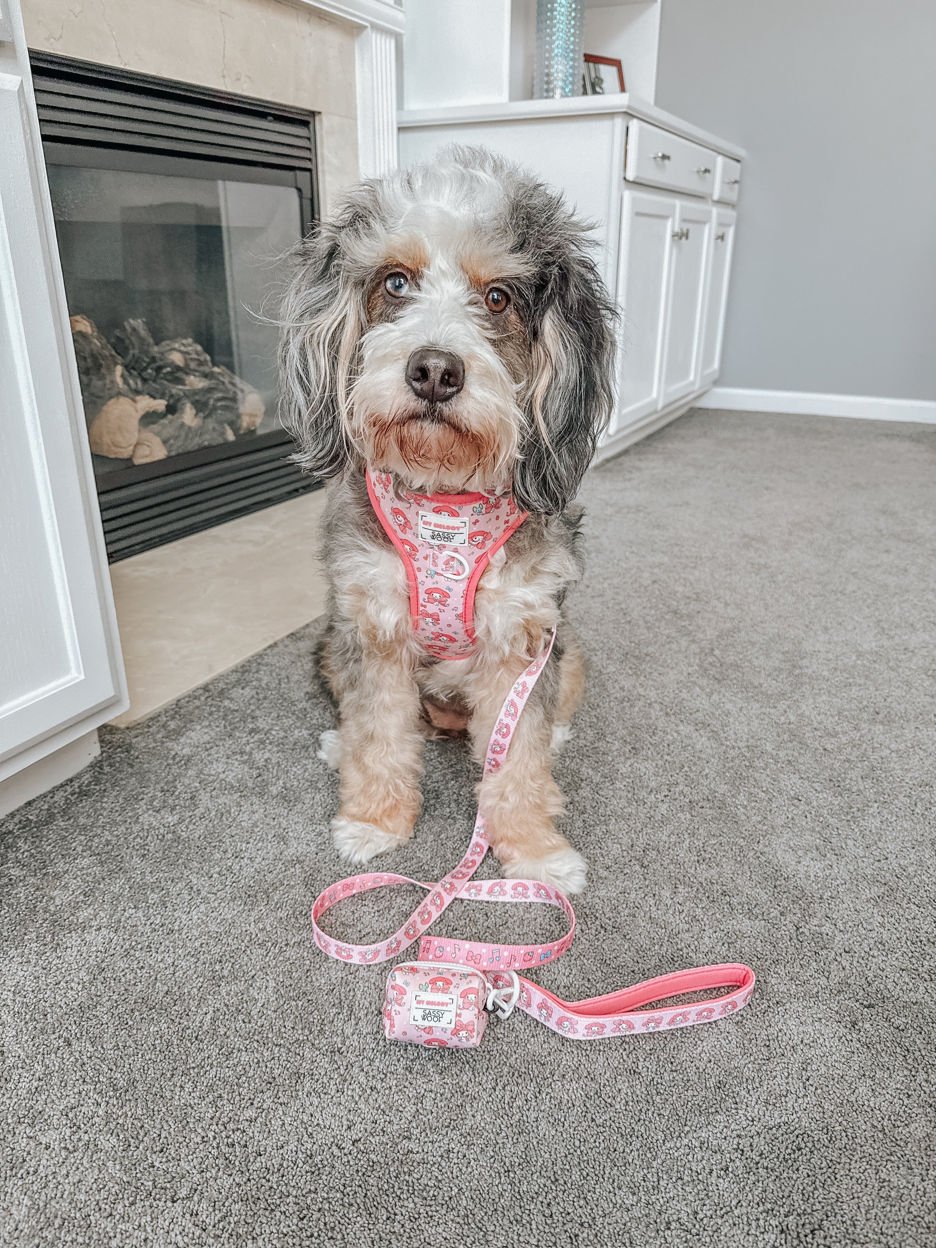 Dog Four Piece Bundle - My Melody™
