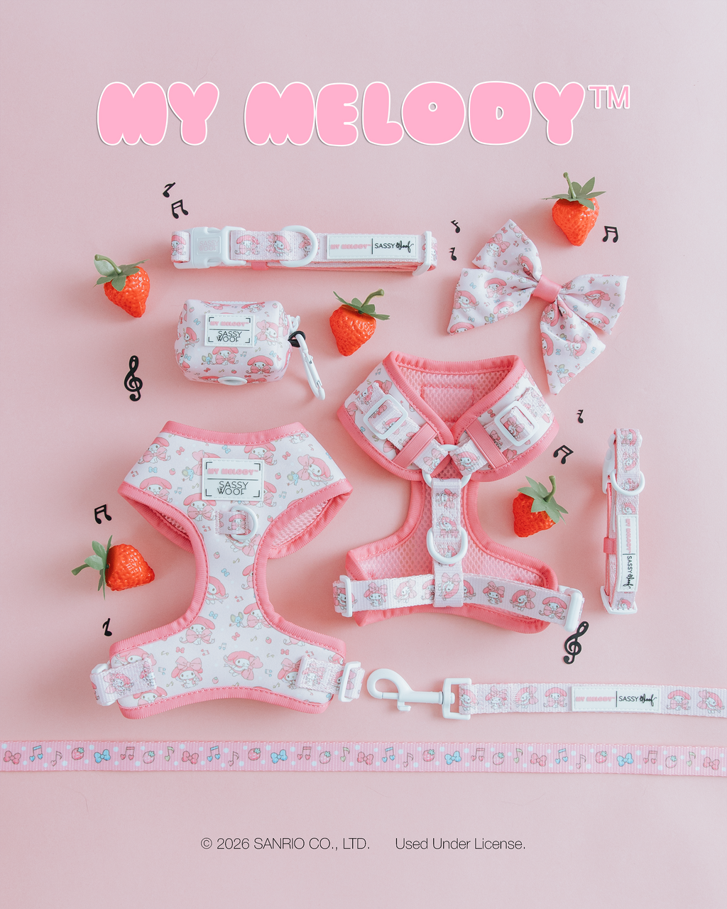 Dog Two Piece Bundle - My Melody™