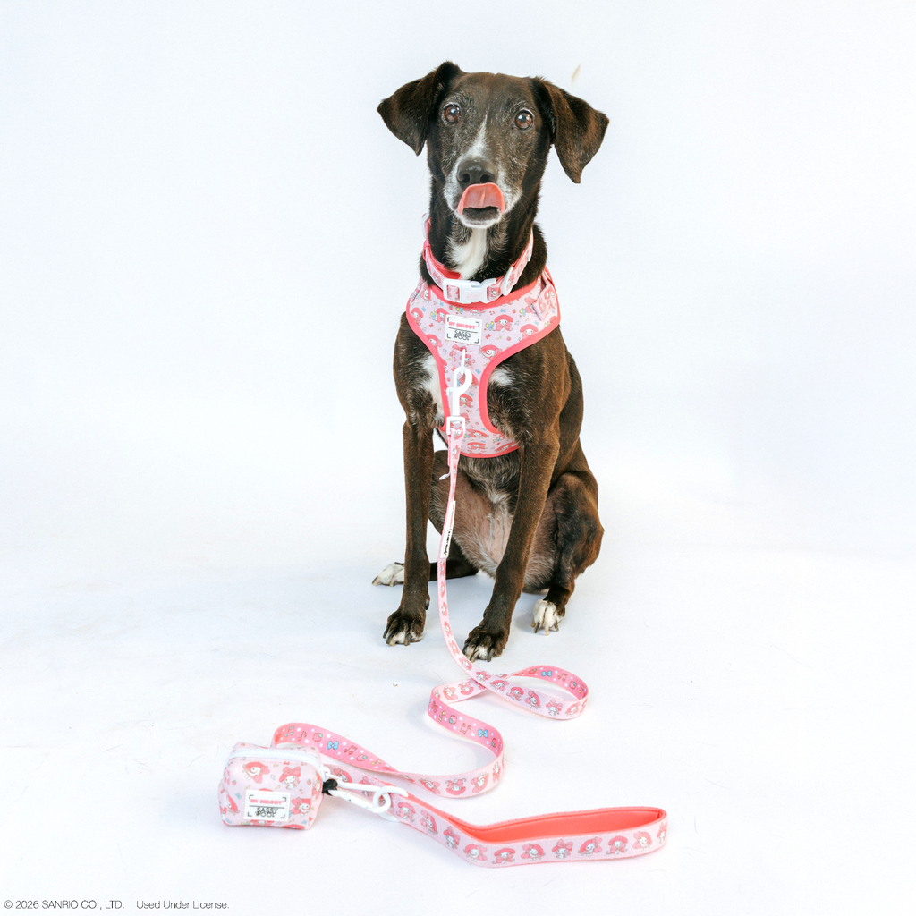 Dog Two Piece Bundle - My Melody™
