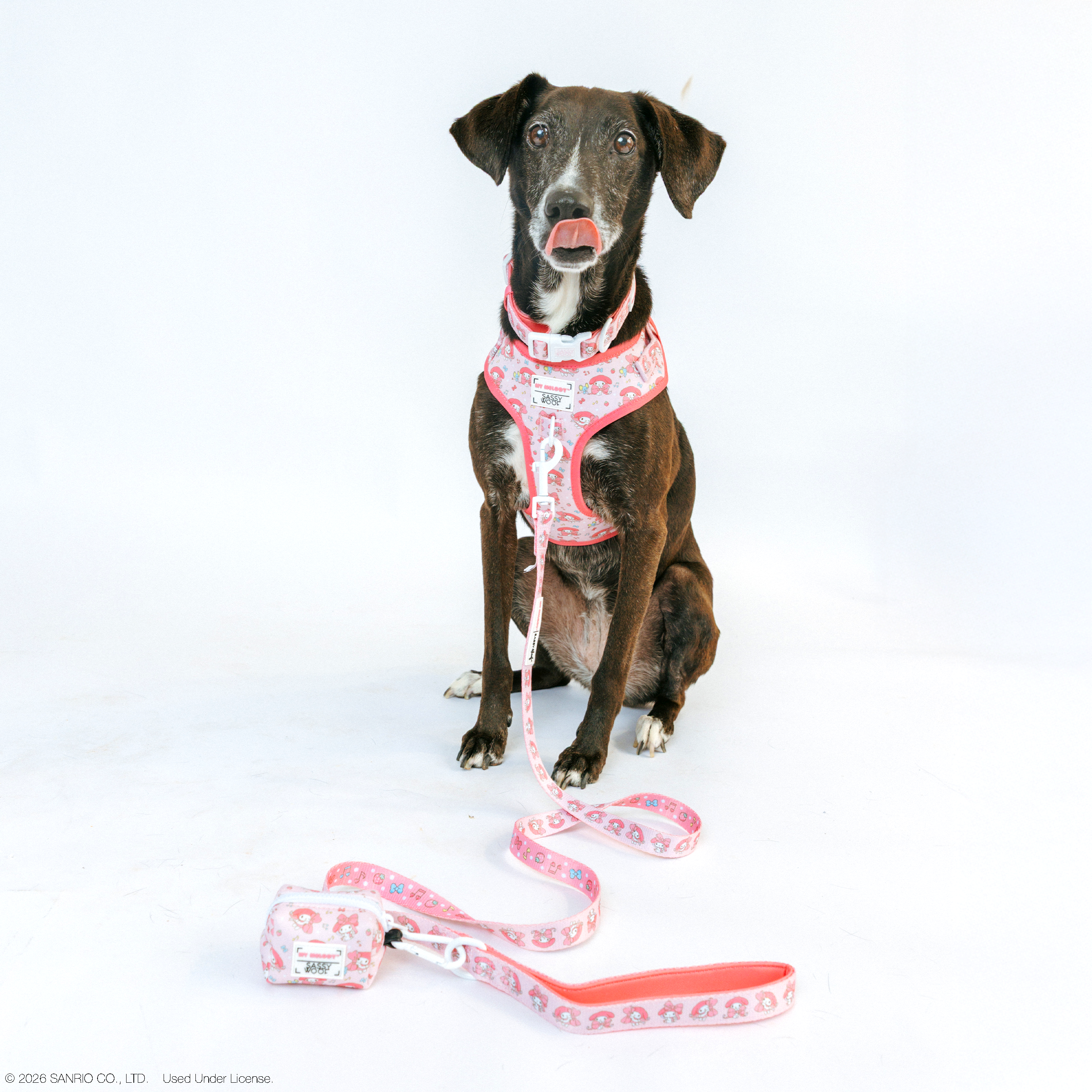 Dog Two Piece Bundle - My Melody™