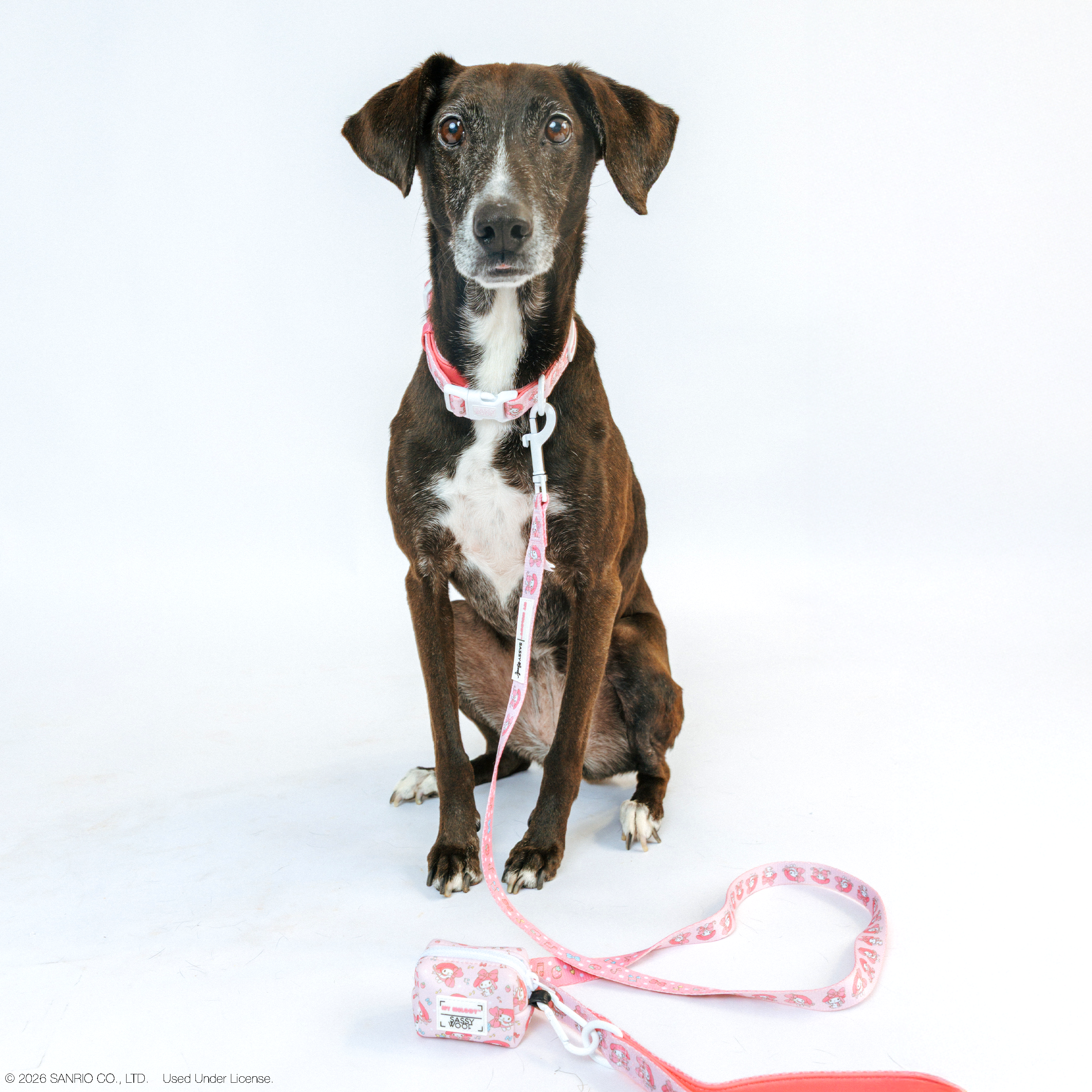 Dog Waste Bag Holder - My Melody™