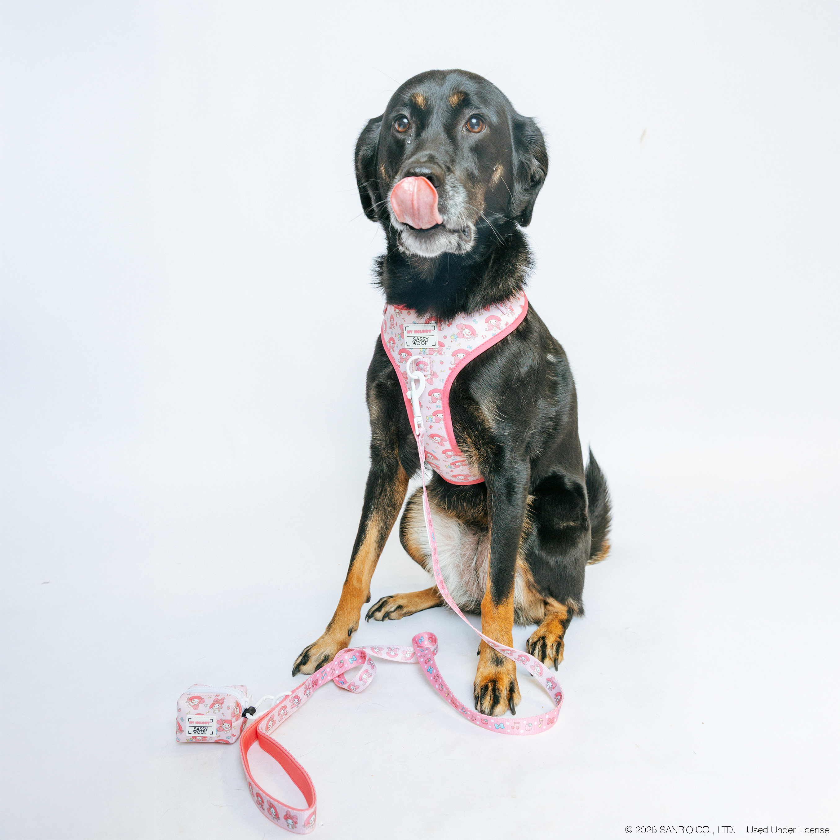 Dog Two Piece Bundle - My Melody™
