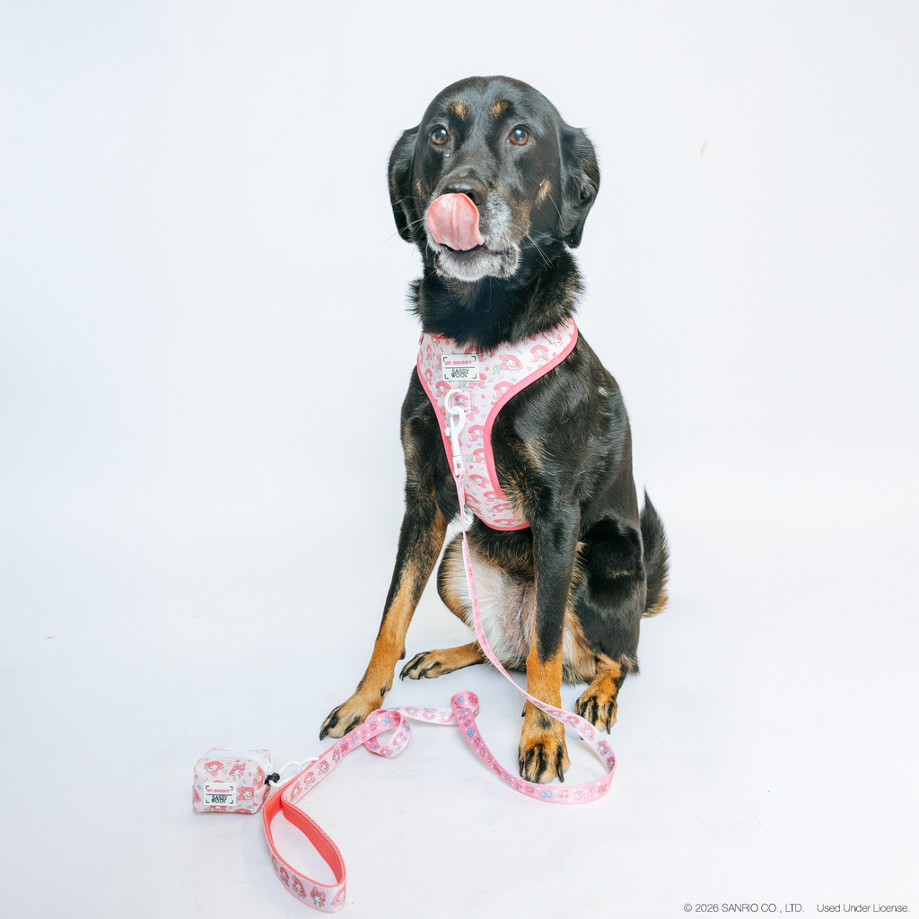 Dog Waste Bag Holder - My Melody™