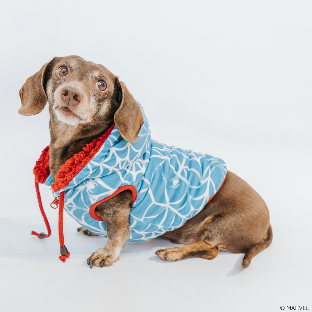 Dog Reversible Sherpa Jacket - Marvel’s Spider-Man