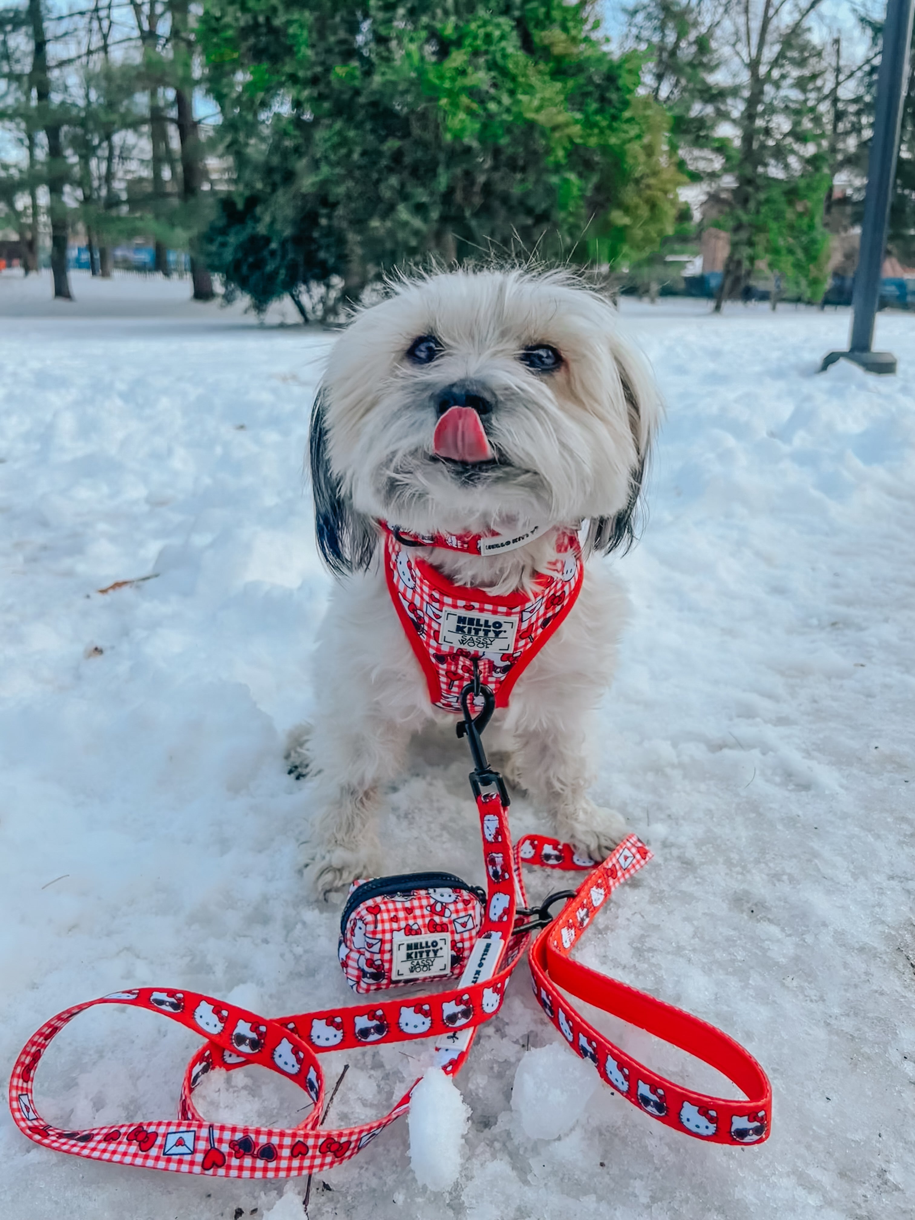 Dog Waste Bag Holder - Hello Kitty® Red Classic