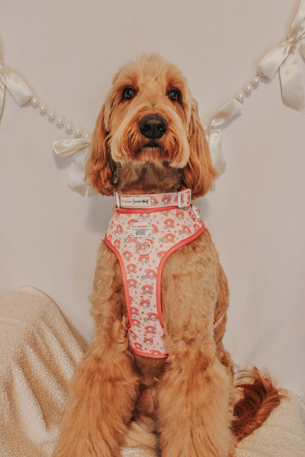 Dog Four Piece Bundle - My Melody™