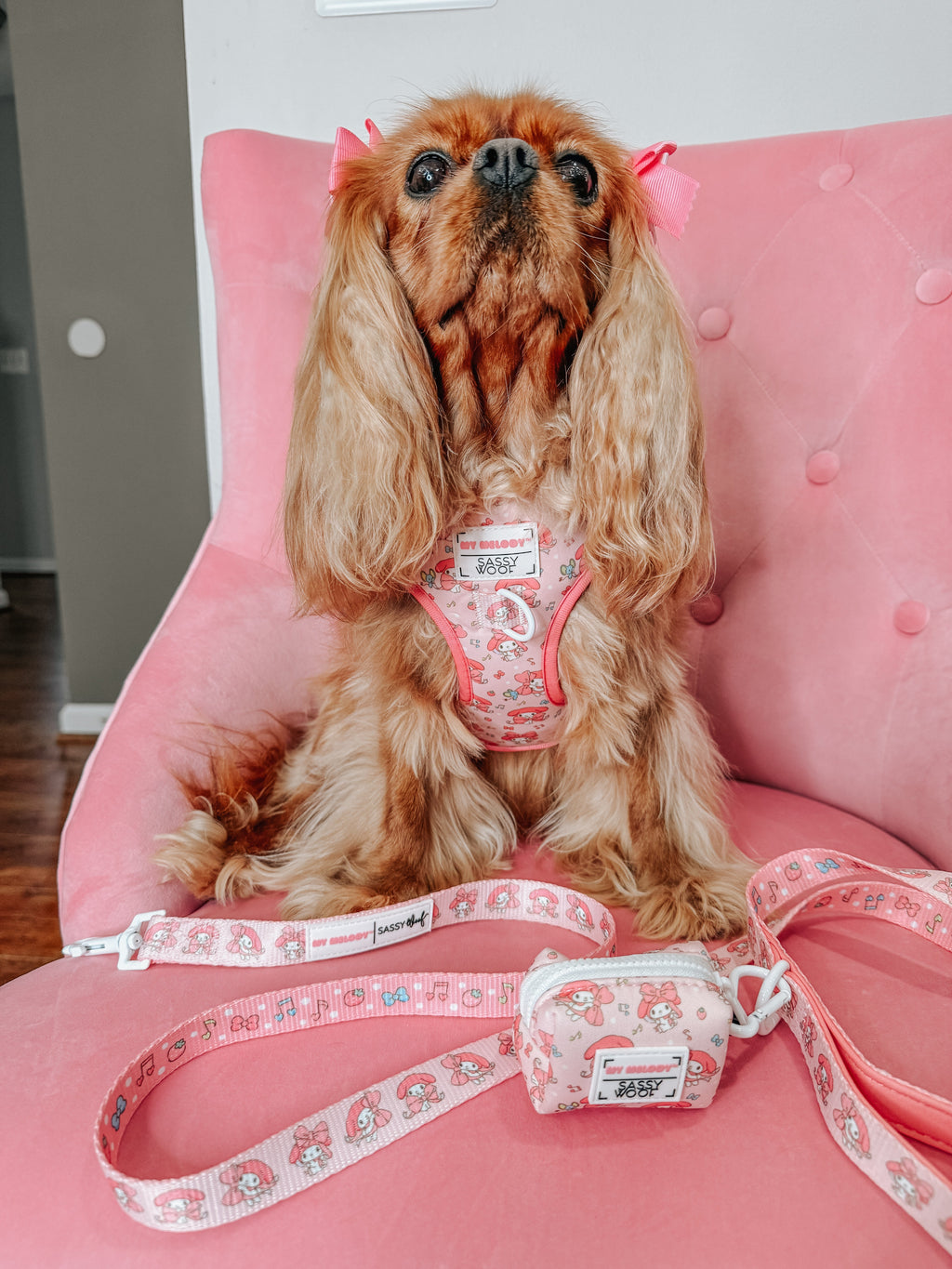 Dog Four Piece Bundle - My Melody™