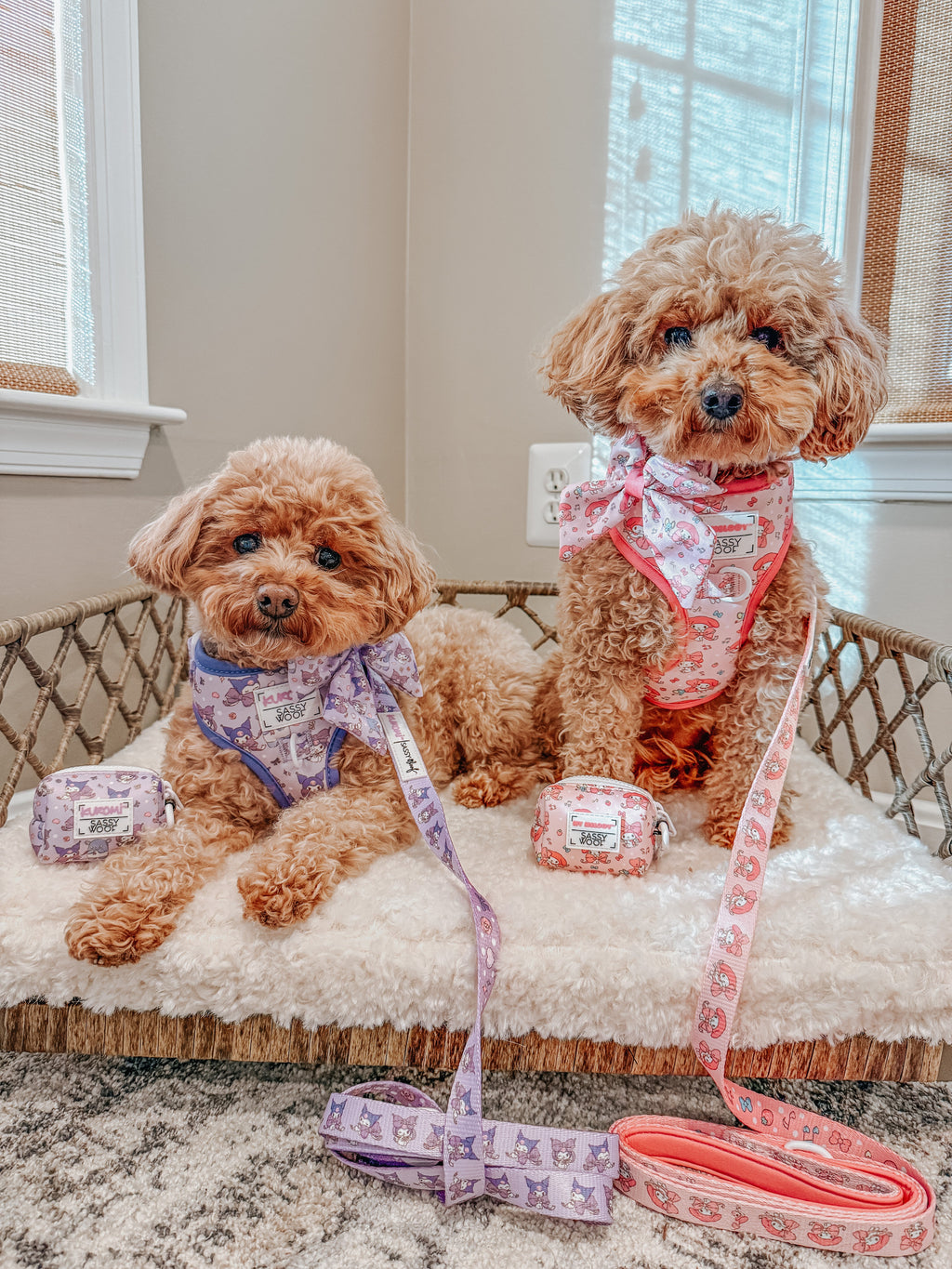 Dog Four Piece Bundle - My Melody™